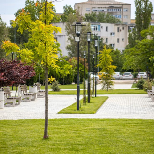 Avocatul Catalin Filisan face apel pentru întreținerea Parcului Ovidius din Constanța