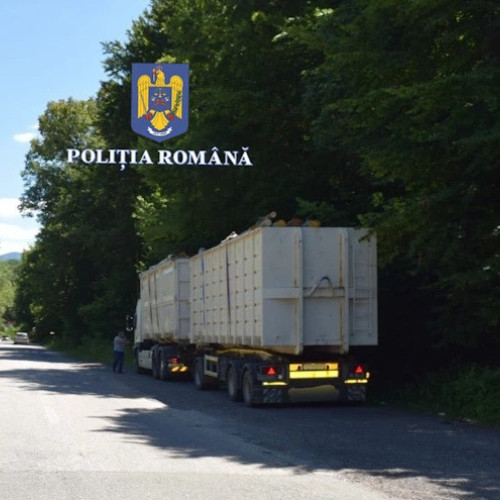 Camion cu lemne confiscat pe DN7 lângă Brezoi