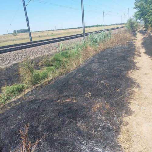Circulația trenurilor reluată pe distanța Dragoș Vodă - Ciulnița după lichidarea unui incendiu de vegetație