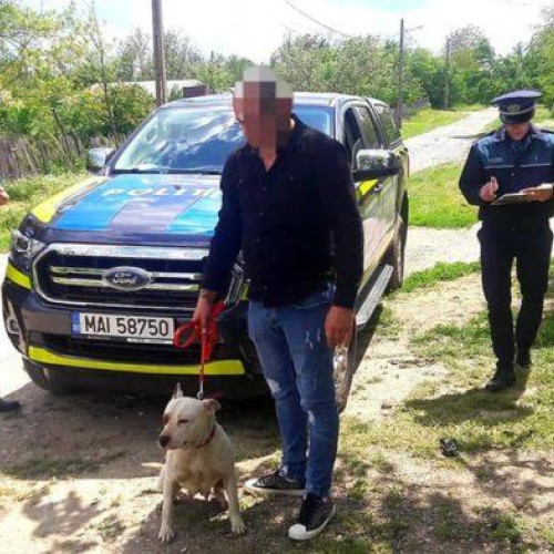 Raid împotriva proprietarilor de câini periculoși la Vlăsinești