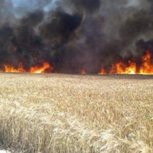 Incendii de vegetație în Dâmbovița: Pompierii intervin la Valea Mare, Adanca și Corbii Mari