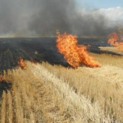 Arderea miristilor și a vegetației ierboase, o problemă serioasă pentru mediul înconjurător și sănătatea publică