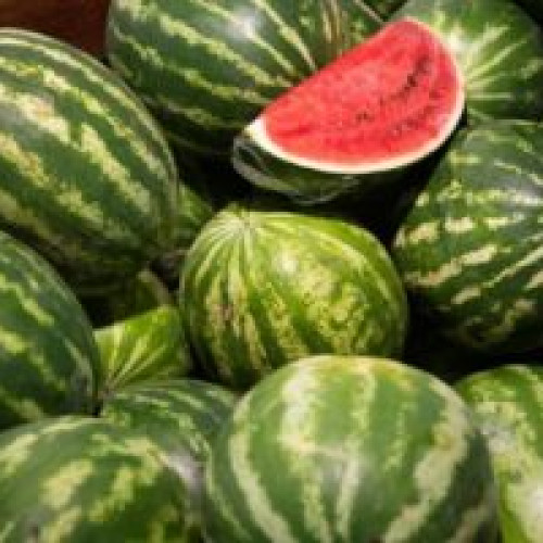 Operațiunea "Pepenele românesc": Autoritatea Națională Fitosanitară desfășoară controale pentru determinarea reziduurilor de pesticide