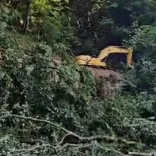 Defrișări pe lotul Boița - Cornetu al Autostrăzii Pitești - Sibiu