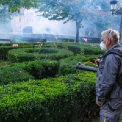 Primăria Brașov organizează o nouă campanie de tratamente fitosanitare