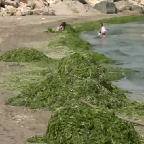 Drept la replică din partea organizaţiilor de management ale destinaţiilor Mamaia-Constanţa