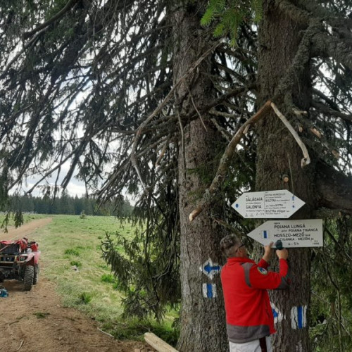 Salvamont Mureș la datorie: activități intense și intervenții rapide