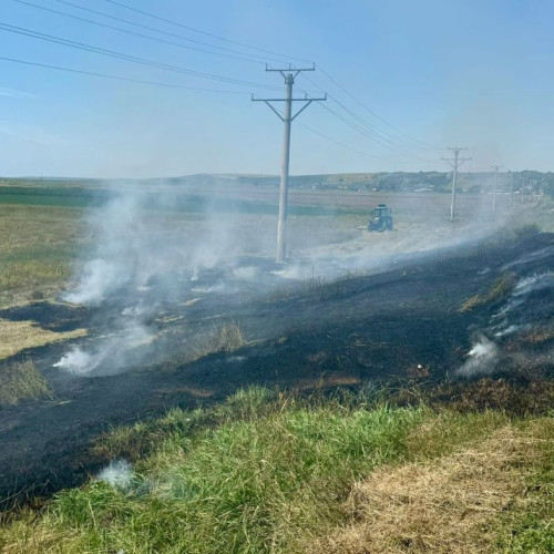 Incendiu de vegetație uscată la Ștefănești