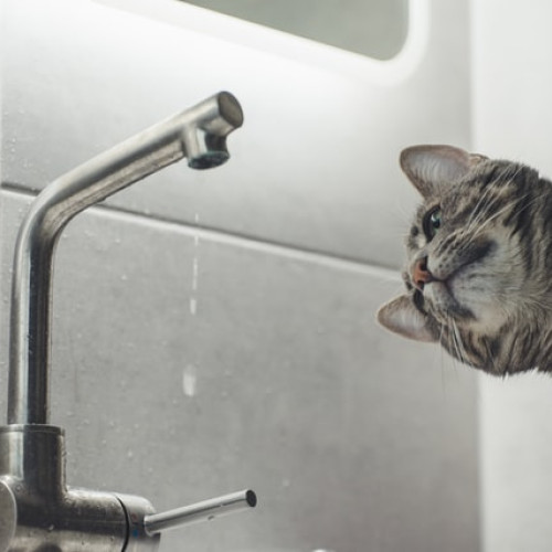 Lucrări la rețeaua termică în București: sute de blocuri fără apă caldă