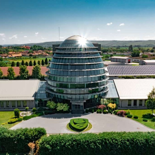 Transavia anunță investiții record: peste 100 de milioane de euro pentru extindere