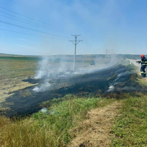 Incendiu pe un câmp din Ștefănești: flăcările au mistuit 500 de metri pătrați de vegetație