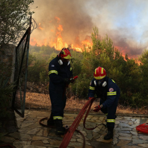 Incendiile de vegetație din Grecia se dublează față de anul trecut