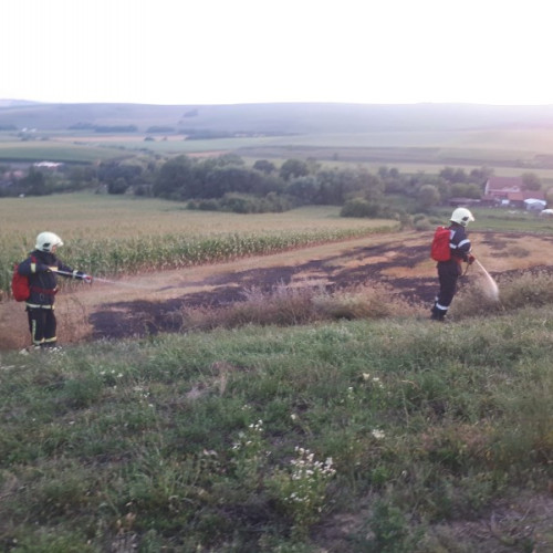 Incendiu de vegetație la Milașel: patru hectare de miriște afectate