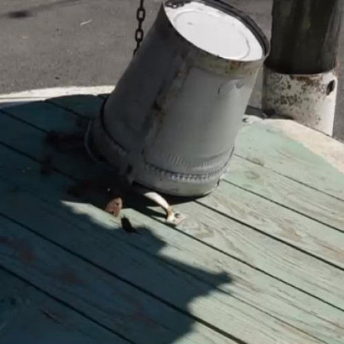 Apa raționalizată în Ialomița