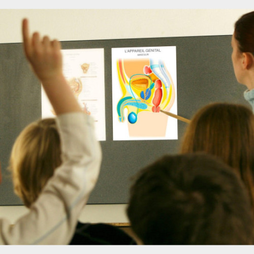 Apel pentru educație medicală în școli: România confruntată cu sarcinile la vârste fragede