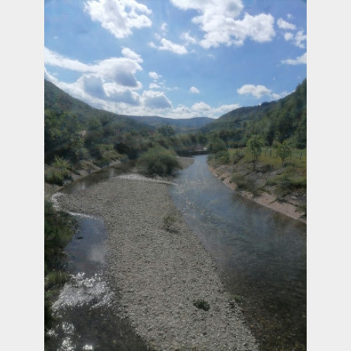 Depozite de deseuri si material lemnos, descoperite in Bihor