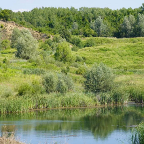 Apel pentru protejarea pădurilor județului Dâmbovița