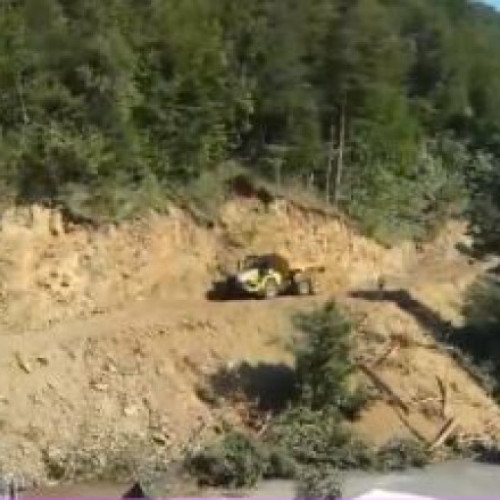 Valea Oltului închisă pentru lucrări de defrișare: Motivul pentru care s-a ales perioada verii