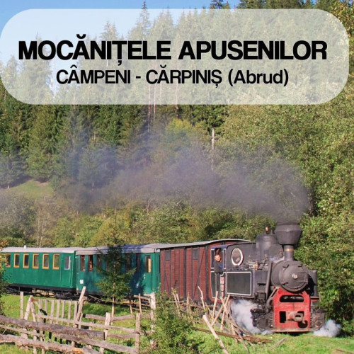 Mocănița revine pe ruta Câmpeni - Cărpiniș