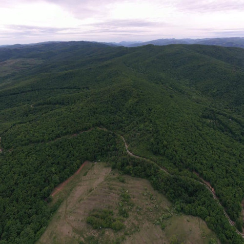 Salvamont Alba, misiune de salvare pe Dealul Mamut