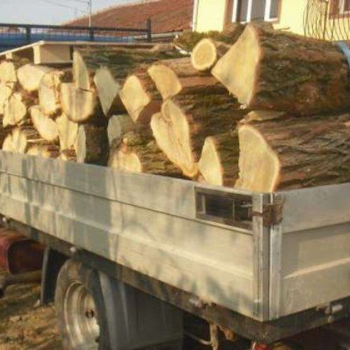 Doi suceveni, sancționați pentru transport ilegal de lemne în județul Botoșani