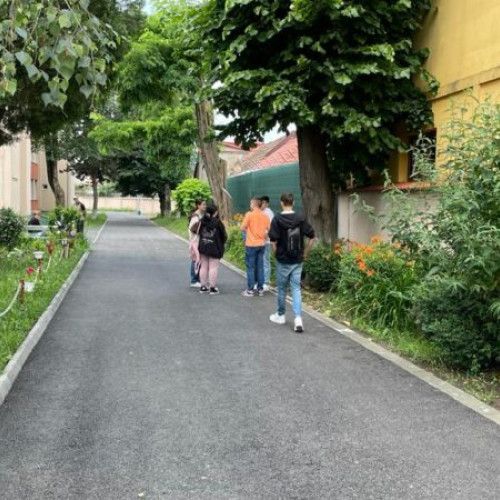 Rezultatele finale de la Evaluarea Națională publicate de Ministerul Educației