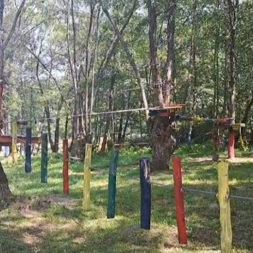 Patru copii răniți după un accident la tiroliană într-un parc de distracții din Hunedoara