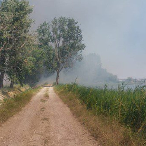 Incendii de vegetație uscată în România: Pompierii în alertă