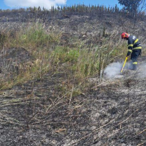 Incendiu de vegetație uscată la Gorbanesti: Pompierii au luptat mai bine de o oră pentru stingerea flăcărilor