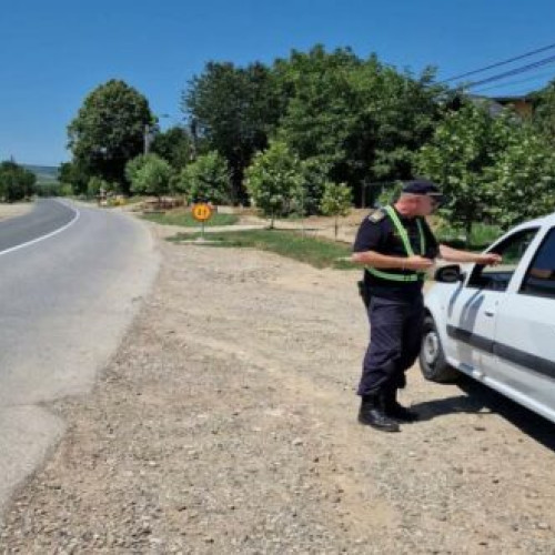 Cercetări asupra unui moldovean prins cu permis de ședere fals la frontiera Albița