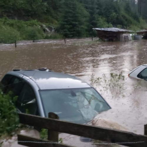 Viituri devastatoare în zona Cârlibaba din cauza ploilor abundente
