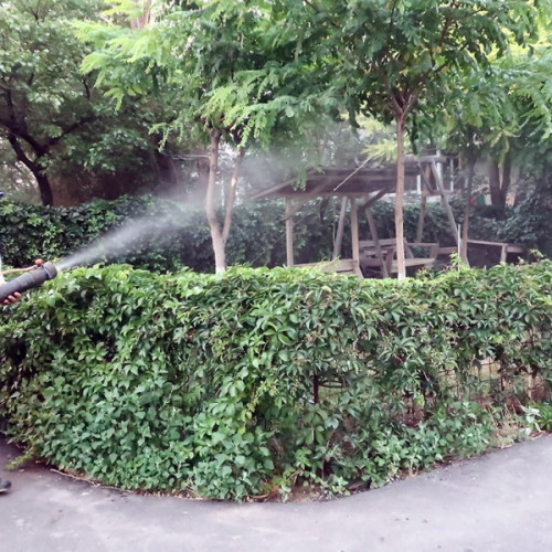 Primăria Galați anunță noua etapă de dezinsecție și deratizare