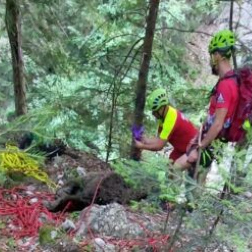 Ursul care a ucis o tânără pe traseul Jepii Mici a fost împușcat