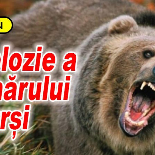 Rezultatele recensământului animalelor sălbatice din județul Buzău pentru 2024