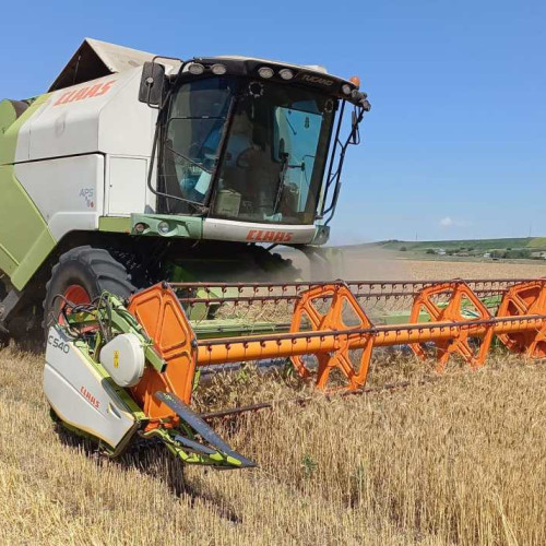 Rentierii agricoli pot solicita viza anuală de la APIA până pe 31 august 2024