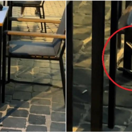 Video Cu șarpele la masă. Momentul care i-a șocat pe clienții unei terase din centrul Brașovului