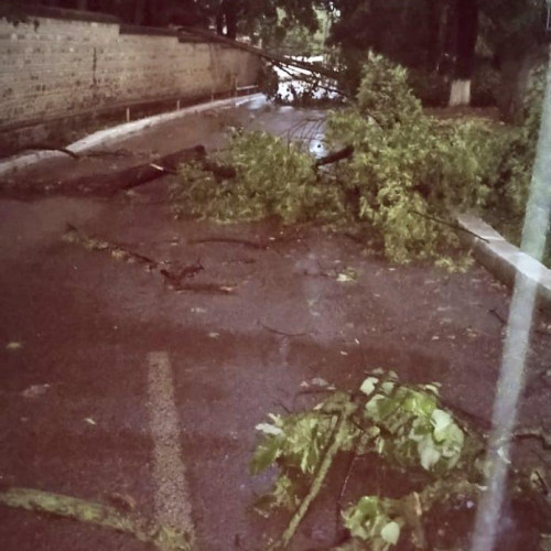 Acces auto blocat în spital după furtuna de miercuri