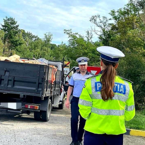 Polițiștii din Botoșani au oprit un transport ilegal de lemne