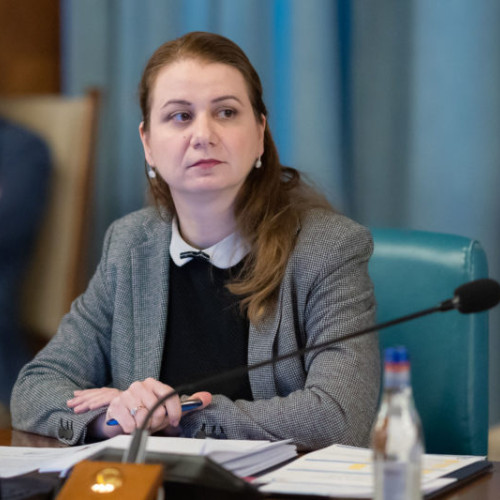 România va găzdui elevi americani în cadrul Programului FLEX Abroad