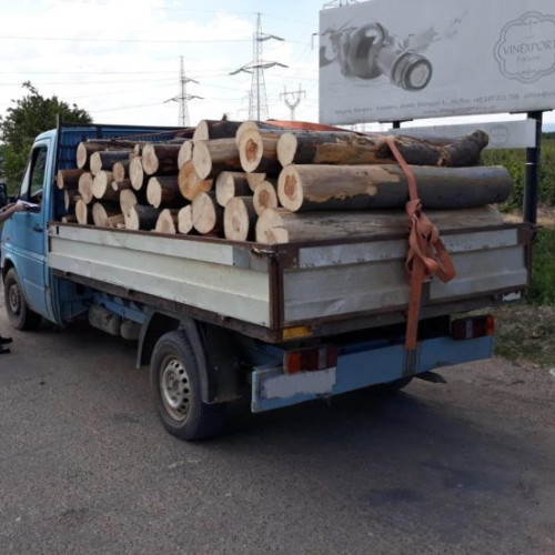 Polițiștii au confiscat 2 metri cubi de material lemnos transportat ilegal în Dorohoi