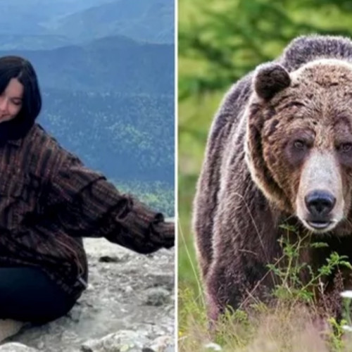 Concluziile medicilor legiști privind decesul tinerei atacată de urs pe Jepii Mici