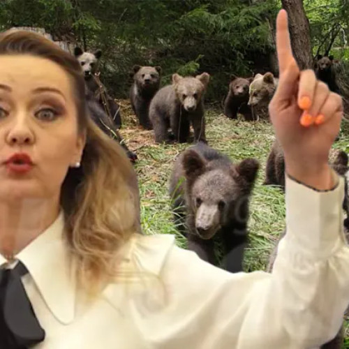 Elena Lasconi cere schimbarea urgentă a legii pentru gestionarea urșilor în comunități