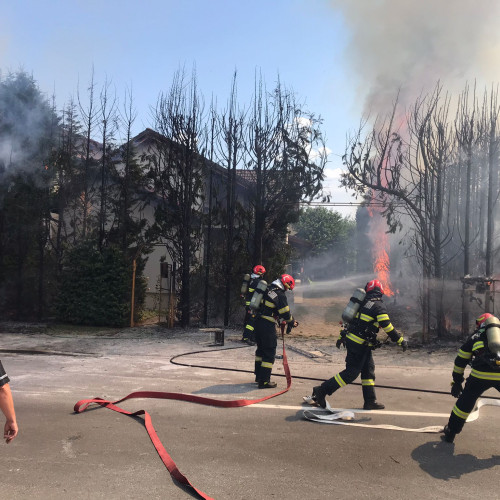 Incendiu în Alba Iulia: Vegetația și o țeavă de gaz afectate