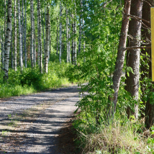 Parlamentul finlandez aprobă o lege care permite blocarea solicitanților de azil la frontiera cu Rusia