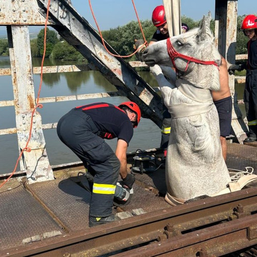 Salvare dramatică a unui cal blocat pe un pod de cale ferată la Ocna Mureș