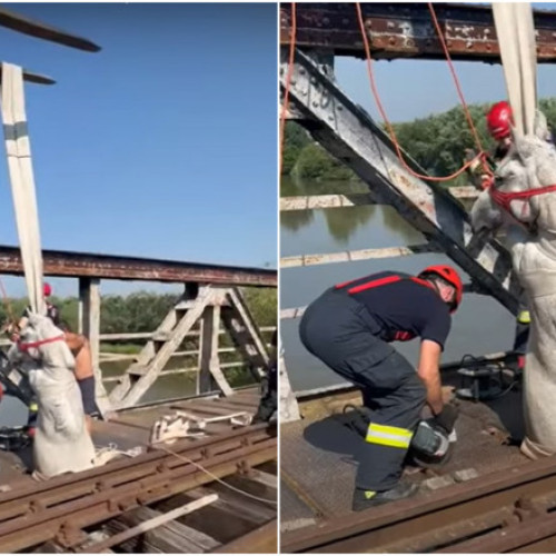 Pompierii din Alba au salvat un cal blocat pe un pod din Ocna Mureș