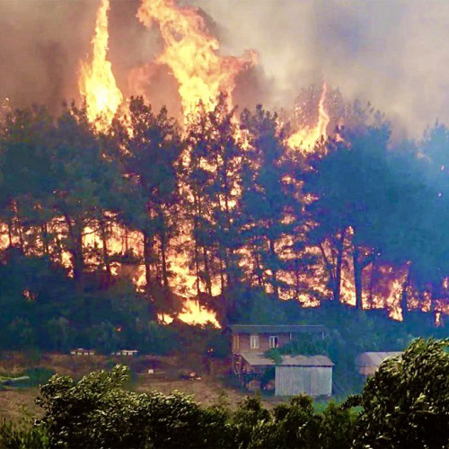 Incendii masive de vegetație în Argeș: Pompierii în alertă