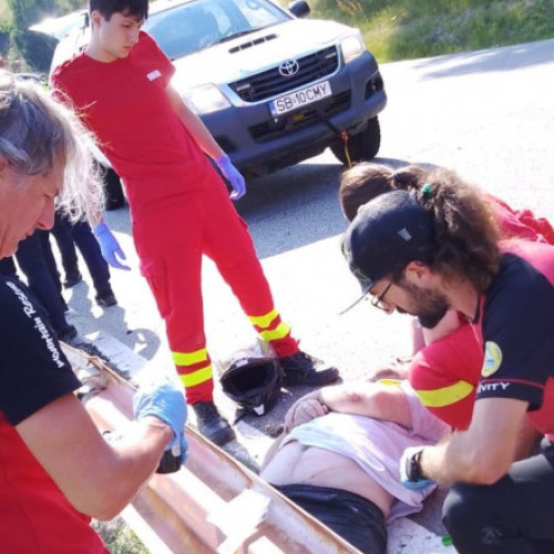 Motociclist rănit la Păltiniș după ce o albină i-a intrat în cască