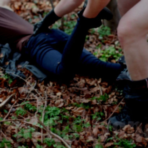 Incident șocant în localitatea Săpânța