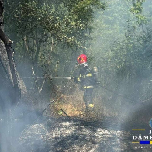 Intervenție de urgență la incendiu de vegetație în comuna Crângurile